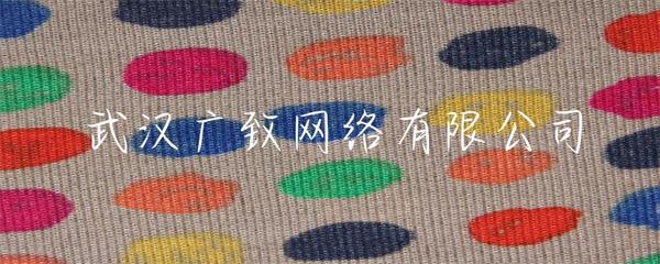武漢廣致網(wǎng)絡(luò) 專業(yè)賦能，打造卓越的企業(yè)網(wǎng)站建設(shè)解決方案